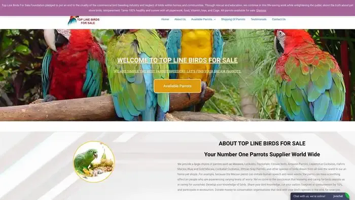 Screenshot of