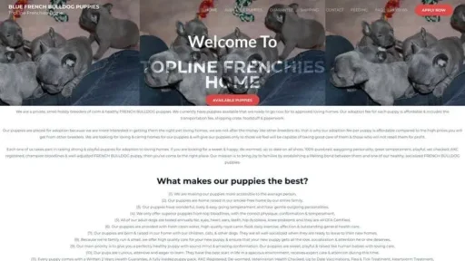 Screenshot of