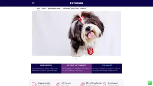 Screenshot of