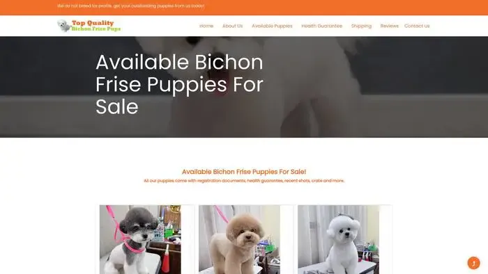 Screenshot of