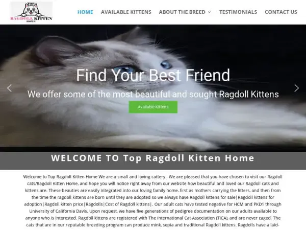 Screenshot of