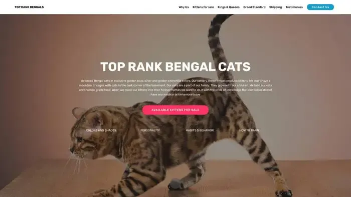 Screenshot of