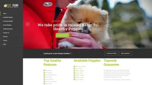 Screenshot of