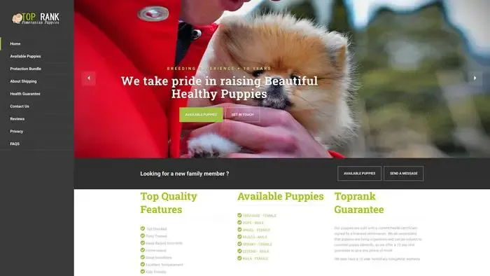 Screenshot of