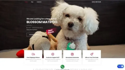 Screenshot of