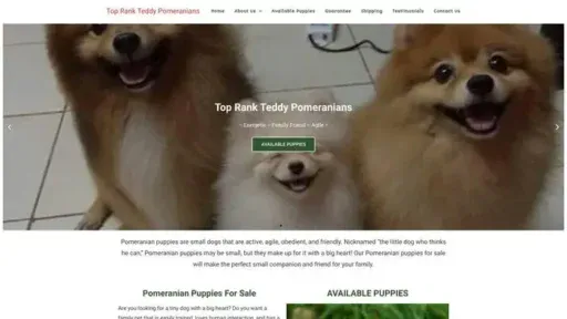 Screenshot of