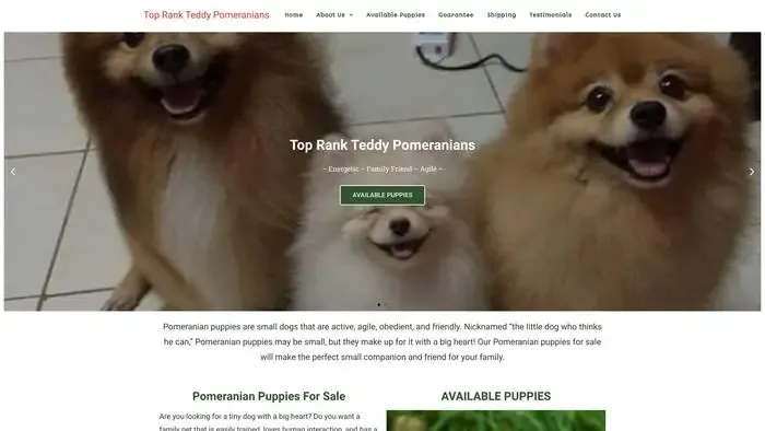 Screenshot of