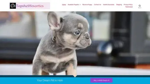 Screenshot of