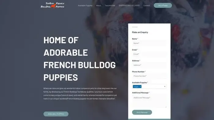 Screenshot of