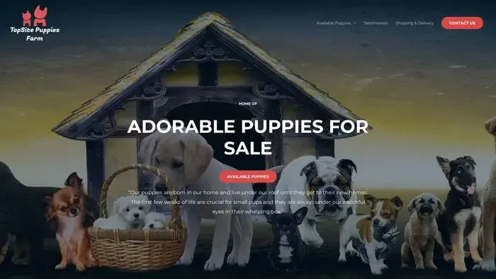 Screenshot of