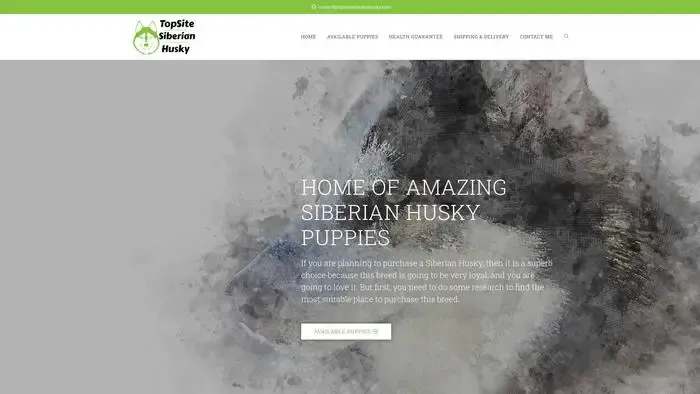 Screenshot of