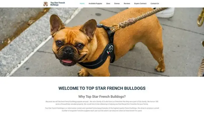 Screenshot of