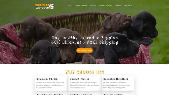 Screenshot of