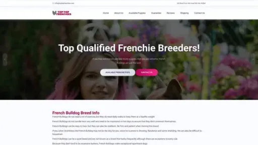 Screenshot of