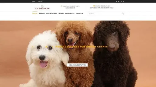 Screenshot of