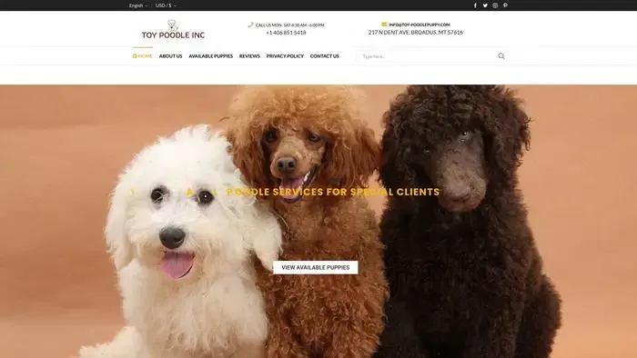 Screenshot of