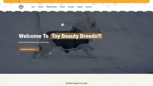 Screenshot of