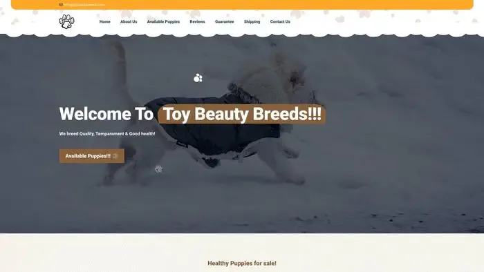 Screenshot of