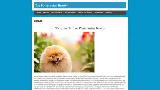 Screenshot of