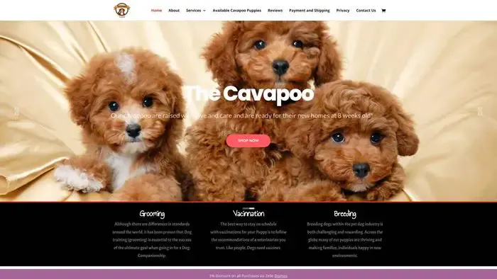 Screenshot of