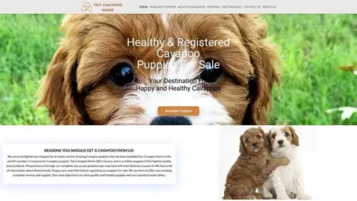 Screenshot of