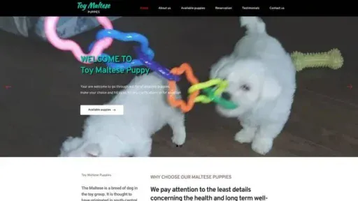 Screenshot of