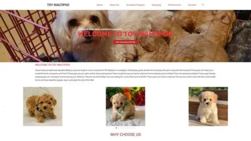 Screenshot of