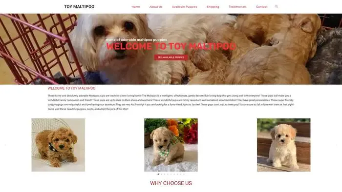 Screenshot of