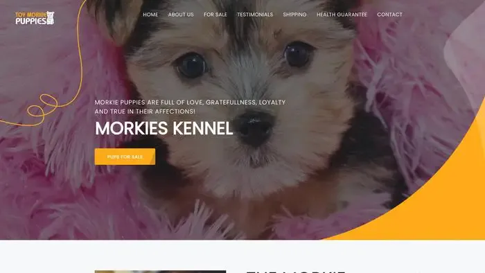 Screenshot of