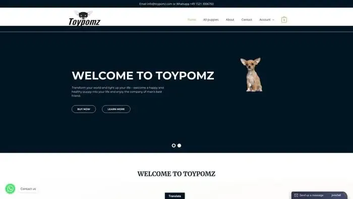 Screenshot of