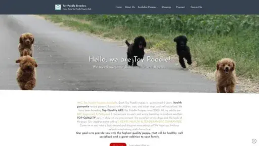 Screenshot of