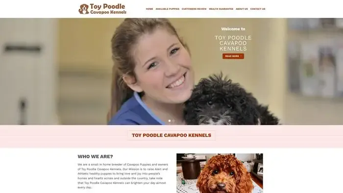 Screenshot of