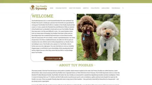Screenshot of