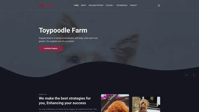 Screenshot of