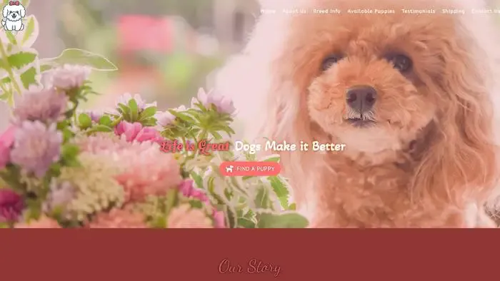 Screenshot of