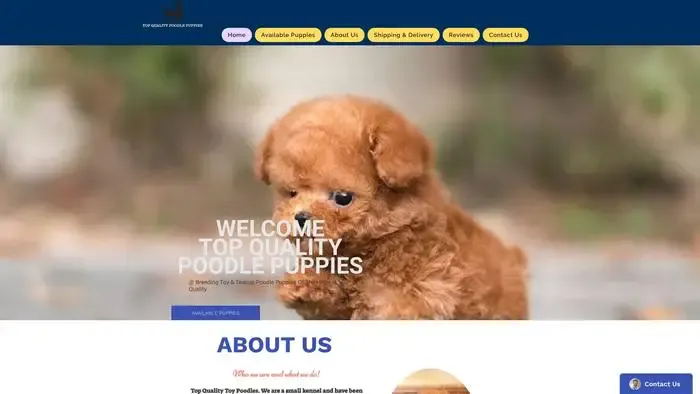 Screenshot of