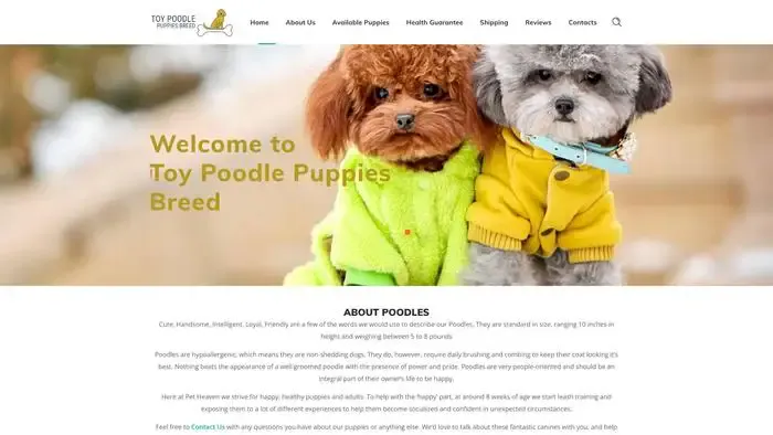 Screenshot of