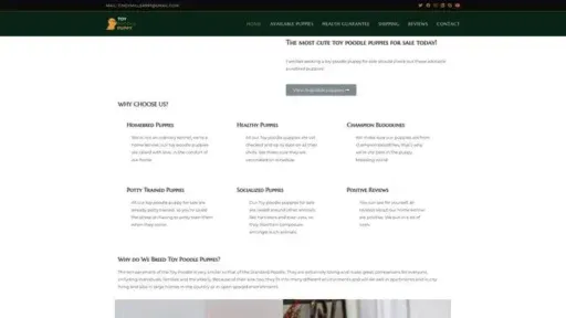 Screenshot of