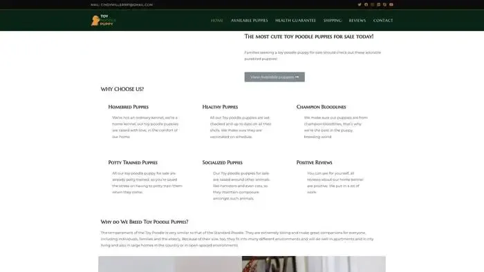 Screenshot of
