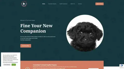 Screenshot of