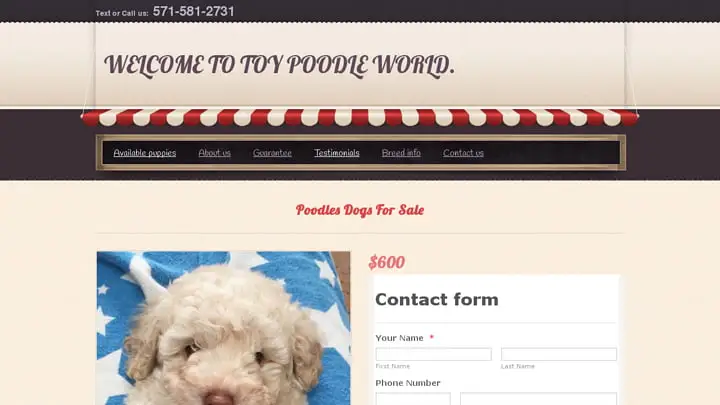 Screenshot of