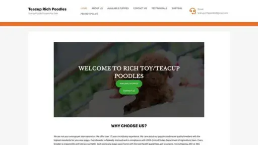 Screenshot of