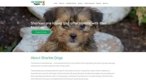 Screenshot of