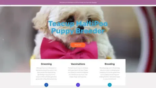 Screenshot of