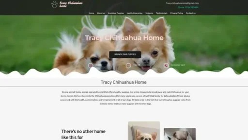 Screenshot of