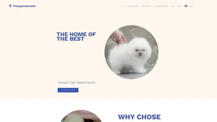 Screenshot of