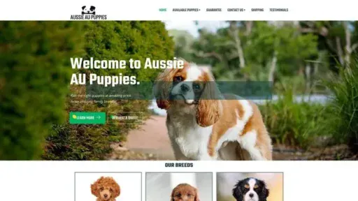 Screenshot of