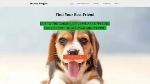 Screenshot of