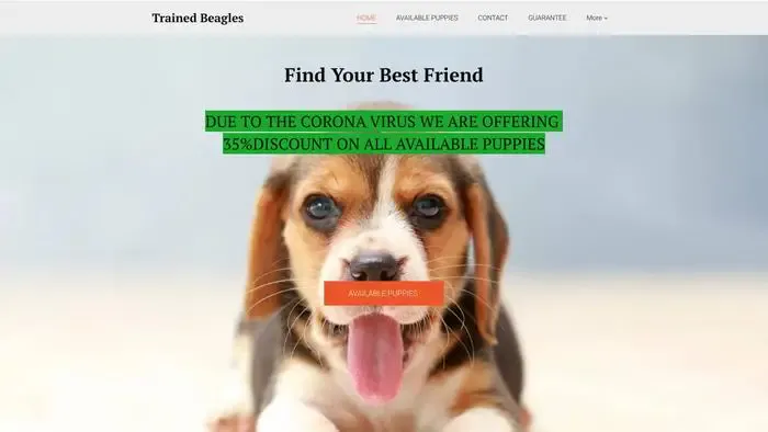 Screenshot of