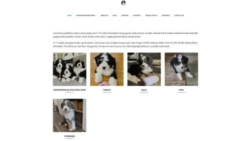 Screenshot of
